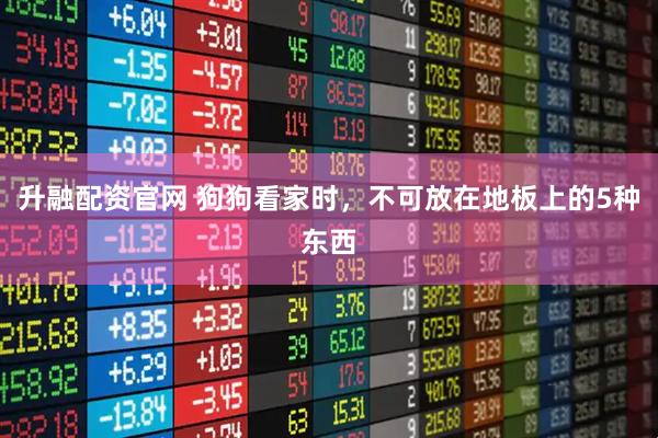 升融配资官网 狗狗看家时，不可放在地板上的5种东西